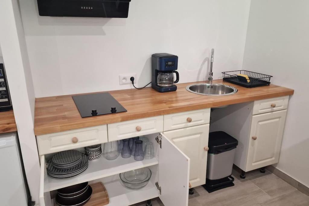 Ariege, Agreable T2 En Bord De Riviere Apartment Val-de-Sos Exterior foto